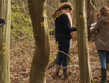 Ruim één op de vijf bosbomen in Vlaanderen beschadigd