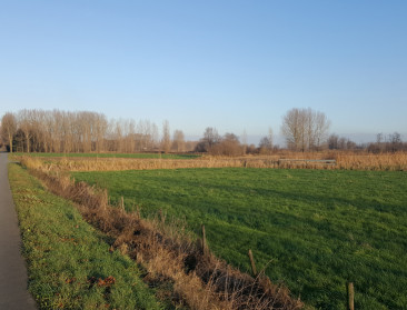 "Potpolder IV is strijdig met bepalingen Sigmaplan"