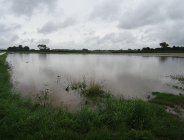Sterke El Niño kondigt nat voorjaar aan