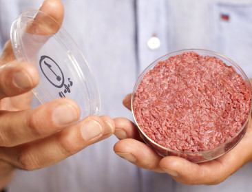 Onderzoekers en activisten pleiten voor miljardeninvestering EU in kweekvlees