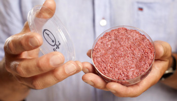 Onderzoekers en activisten pleiten voor miljardeninvestering EU in kweekvlees