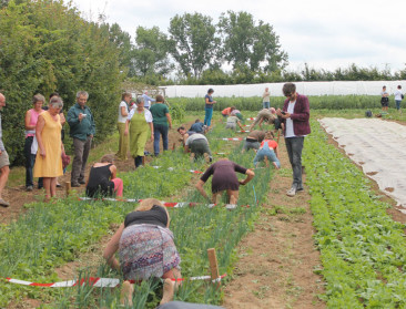 Brochure inspireert (bio)boeren tot samenwerken