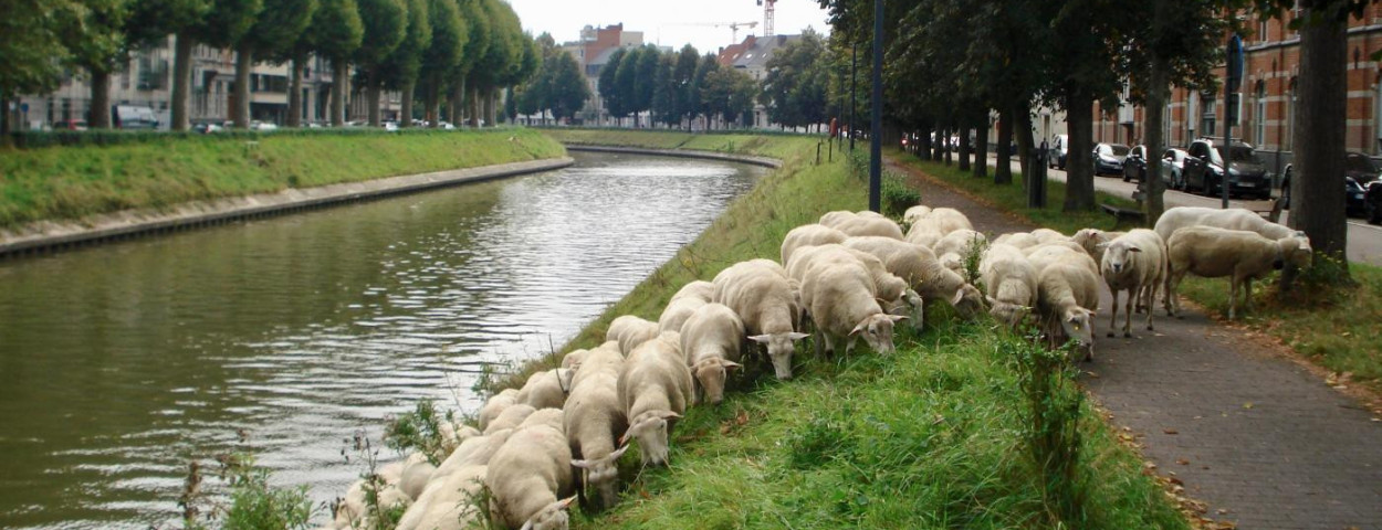 vzw de grazer