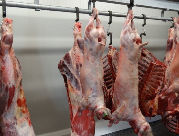 EU wil onfaire handelspraktijken niet zelf bestrijden