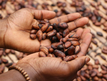 Koningin Mathilde stelt onrechtvaardige cacaoprijzen aan de kaak