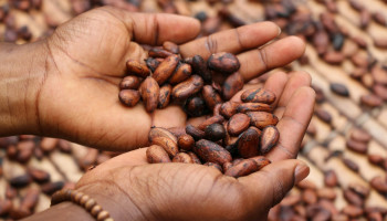 Koningin Mathilde stelt onrechtvaardige cacaoprijzen aan de kaak