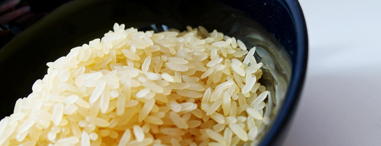 rice-2380804_1920