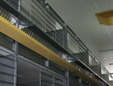 Leegstandsvergoeding voor pluimveebedrijven is voorzien