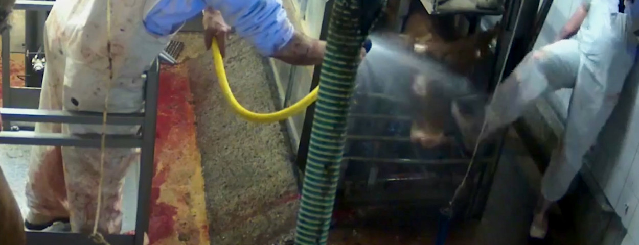 16-9 FR .mp4.00_00_18_28.Still007