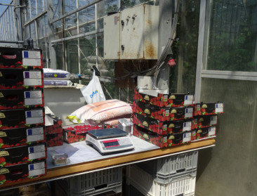 FAVV-inspecties tonen dat horeca kan leren van landbouw