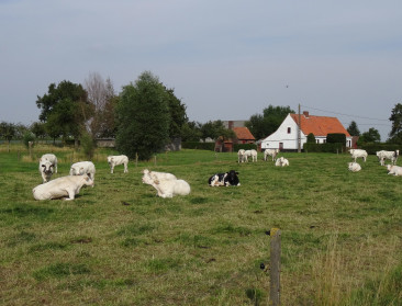 "Dit is het schandaal te veel"