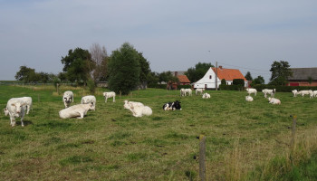 Elke dag bijna twee landbouwsites zonevreemd vergund