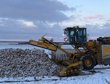 Bieten laden in volle winter: "De koude maakt het zwaar"