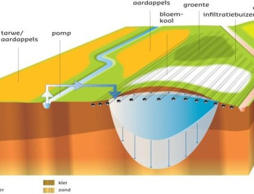 Geen grote veranderingen in verzilting van grondwater