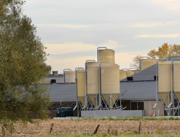 Dryade dagvaardt Vlaanderen voor geurhinder samen met omwonenden van veebedrijven