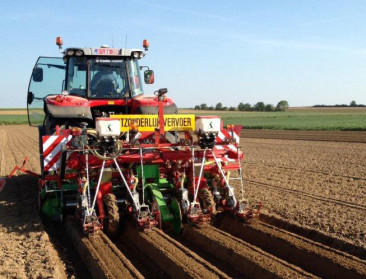 Onderzoek moet duidelijkheid scheppen over impact PFOS-vervuiling op landbouw