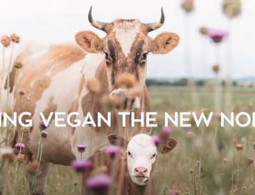 Veganismevereniging bestrijdt positieve imago van melk