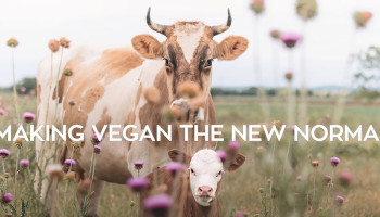 Veganismevereniging bestrijdt positieve imago van melk