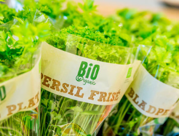 "Fair trade enige garantie op leefbaar loon voor bio"