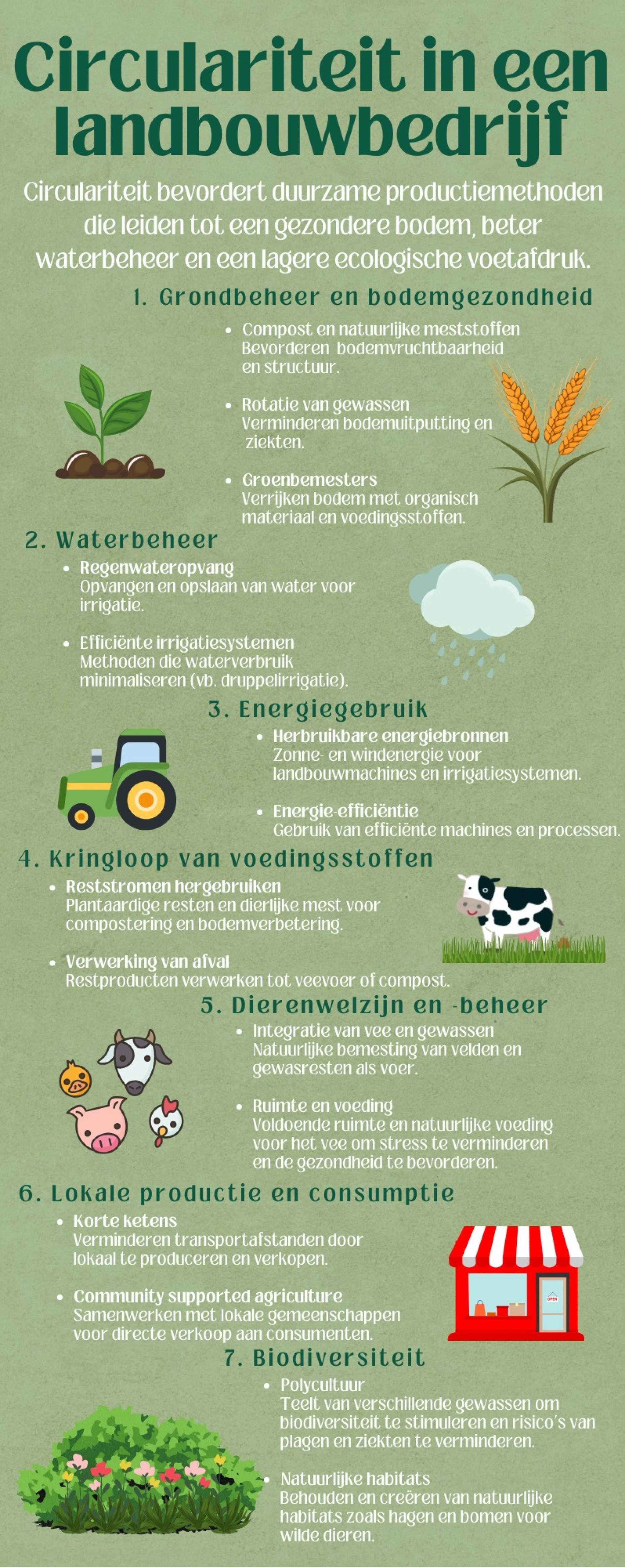 infographicLizeDieltjens-circulariteit
