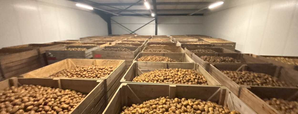 aardappelberg Warnez1