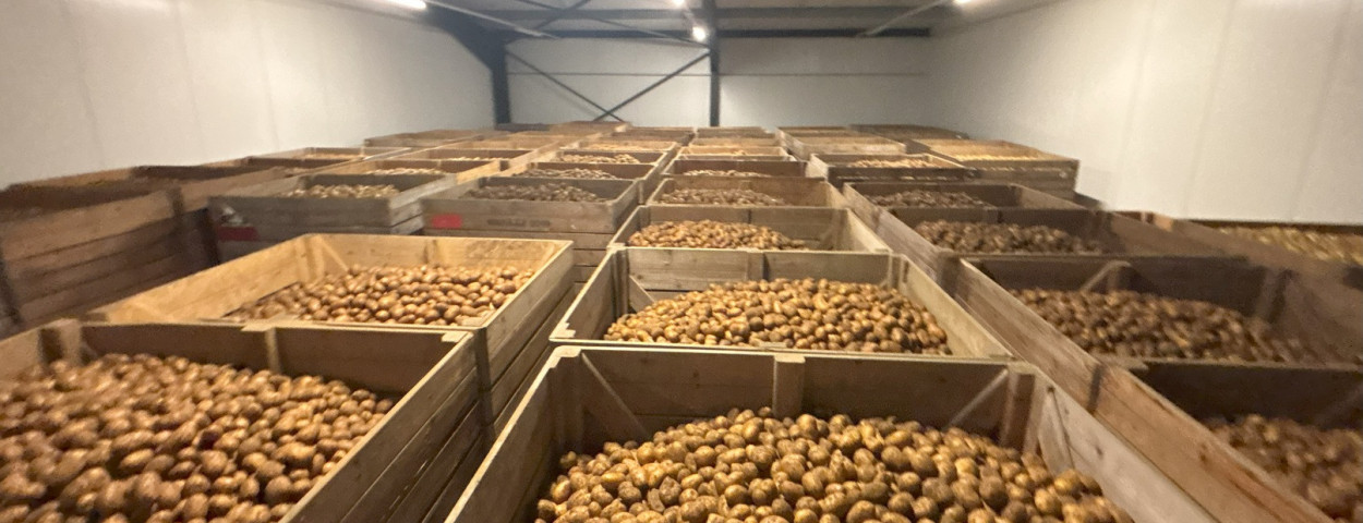 aardappelberg Warnez1