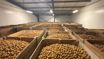 Actie “Nationale Aardappelberg” moet Vlaamse aardappeloverschotten redden van de afvalberg