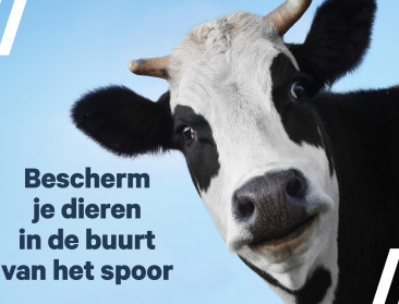 Aanrijdingen van dieren op het spoor veroorzaken uur vertraging per dag