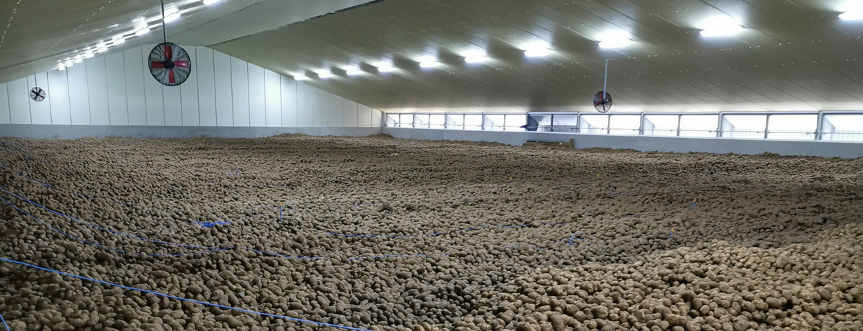 bewaarloods aardappelen