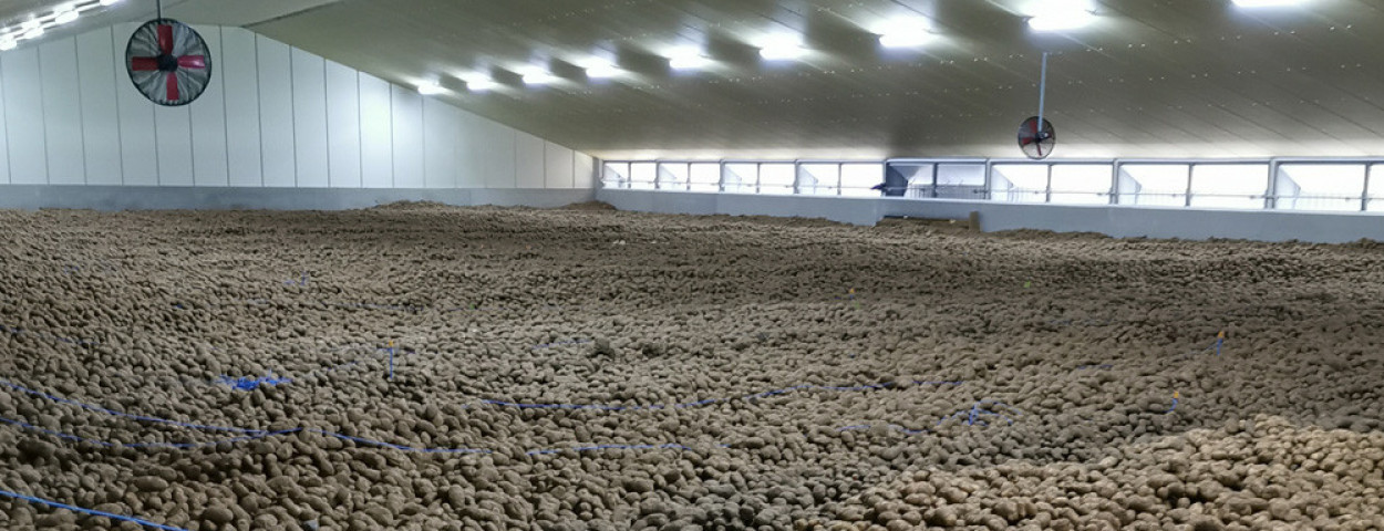 bewaarloods aardappelen