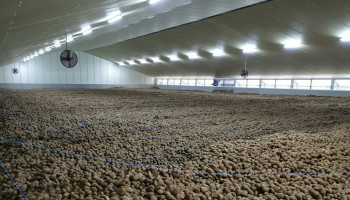 Aardappeltelers kijken terug op moeizame oogst met hoge opbrengsten