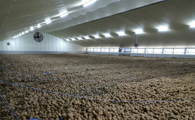 bewaarloods aardappelen