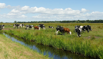 Oost-Vlaanderen rolt actieplan tegen waterschaarste uit