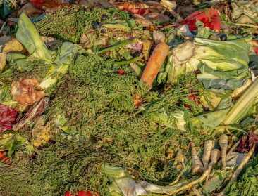 Week Zonder Voedselverspilling: ‘Belg verspilt jaarlijks 37 kg voedsel’
