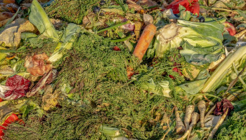 Week Zonder Voedselverspilling: ‘Belg verspilt jaarlijks 37 kg voedsel’