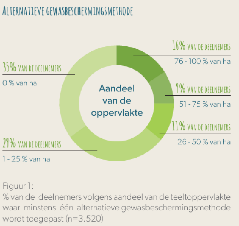 alternatieve onkruidbestrijding