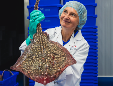 Crevits fileert Noordzeevis bij Alfa Fish: “Onze eigen vis verdient meer aandacht”