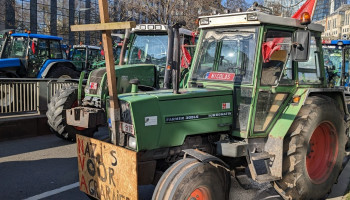 Ook ABS stapt naar Grondwettelijk Hof: "Indieners stikstofdecreet hebben zelf deur wagenwijd opengezet"