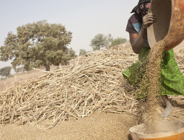 België doet schenking van 5,8 miljoen euro aan FAO
