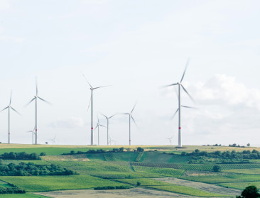 Frans gerecht legt windpark voor jaar stil na dood steenarend