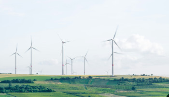 Frans gerecht legt windpark voor jaar stil na dood steenarend