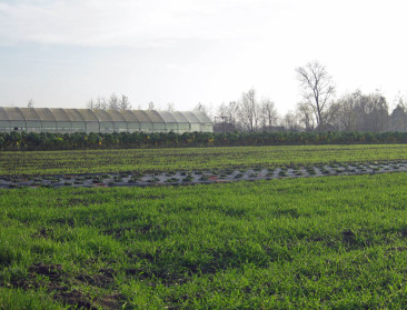 Vooruit: "Socialistische visie op landbouw dringt zich op"