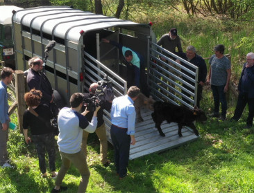 Natuurpunt krijgt 2,5 miljoen extra voor aankoop natuur