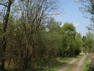 Meer dan 94.000 ha in Vlaanderen onder natuurbeheer