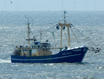 Frankrijk dreigt opnieuw met handelsmaatregelen in visserijconflict met VK