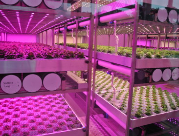 Brussel steunt getroffen stadslandbouwers