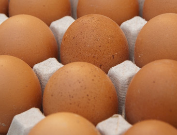 Eierprijs stijgt opnieuw naar recordhoogtes