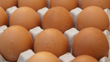 Eierprijs stijgt opnieuw naar recordhoogtes