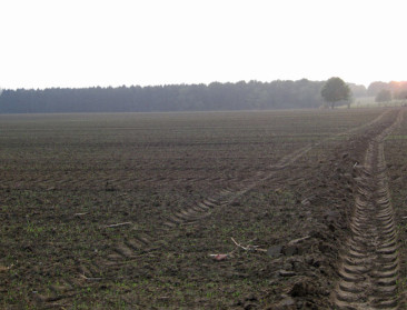 Vlaamse boeren schrapten fors in hun areaal granen