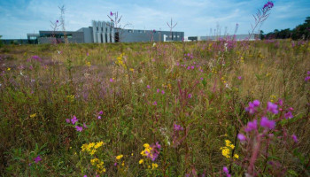 Vlaanderen dreigt zonder bedrijventerreinen te vallen: Voka wijst op landbouwgebruik in industriegebieden